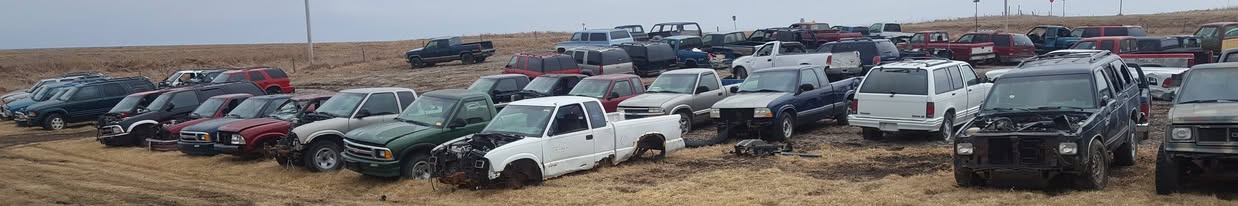 Rows of cars in salvage yard